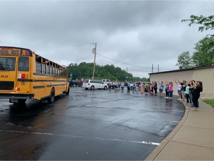 buses