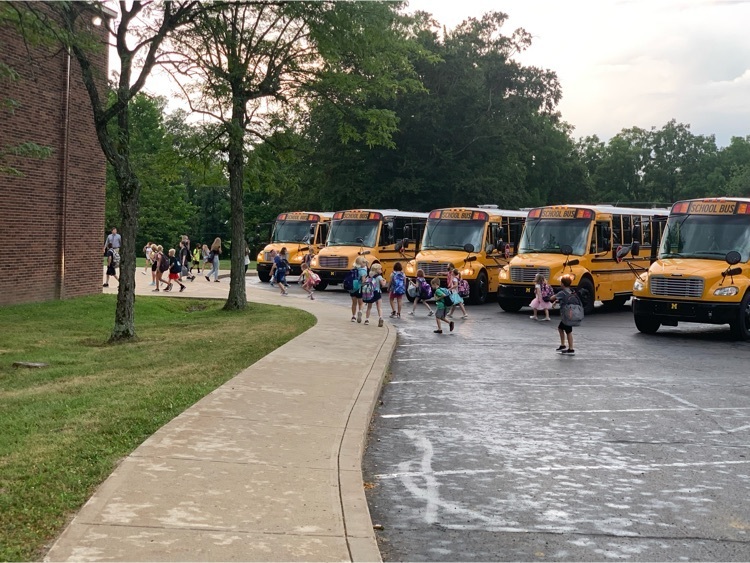 busses