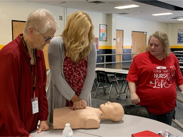 cpr training